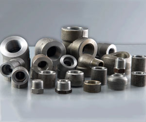 stainless steel forged fittings manufacturer exporter